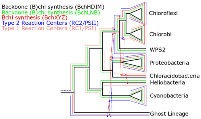 Fig 3