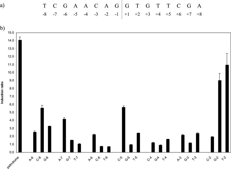 FIG. 5.