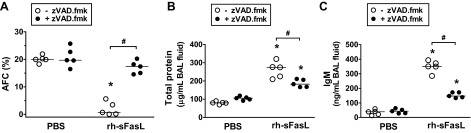 Fig. 8.