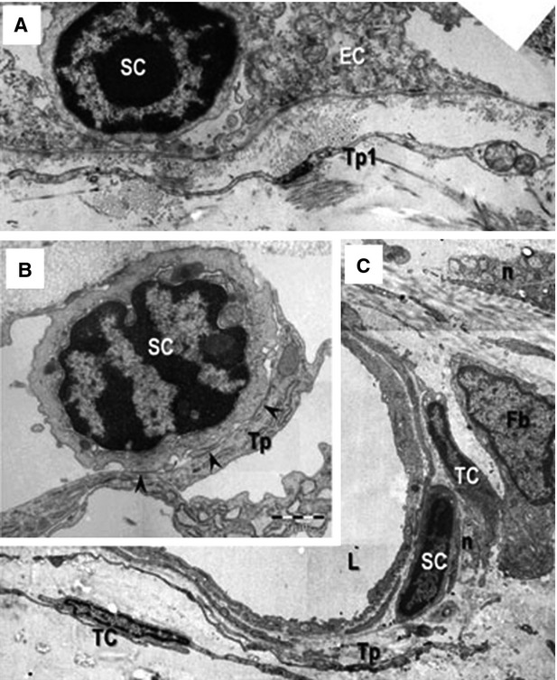 Figure 9