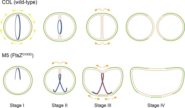 FIG 6 