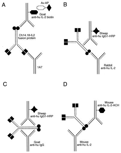 FIG. 1