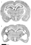 Fig. 10.