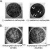 FIG 2