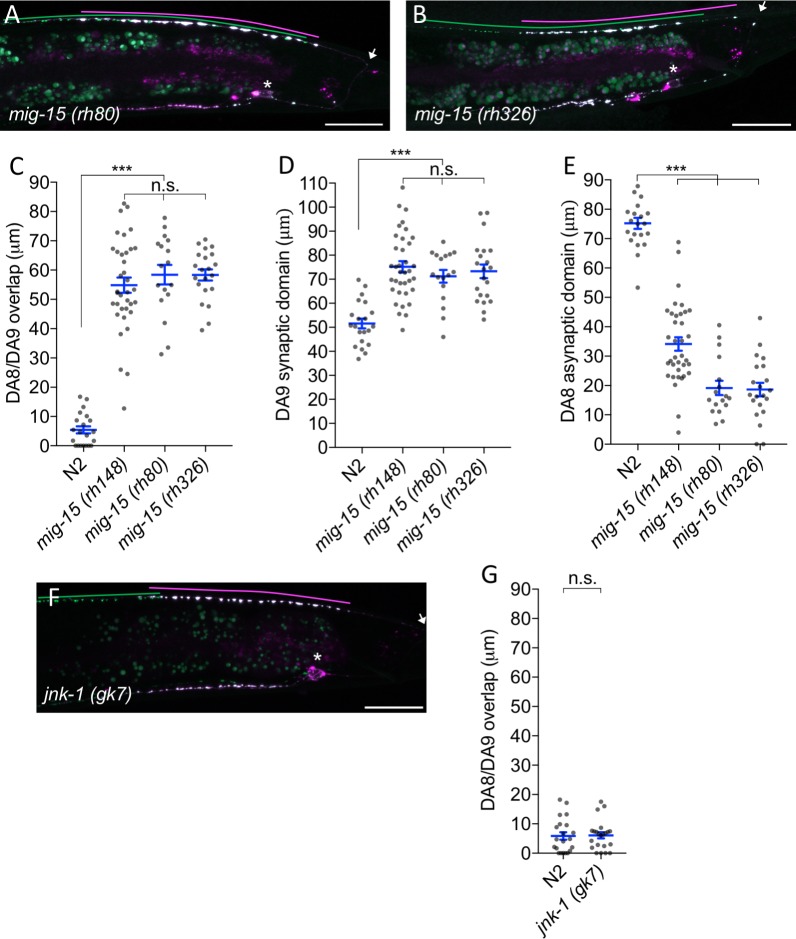 Figure 5—figure supplement 2.