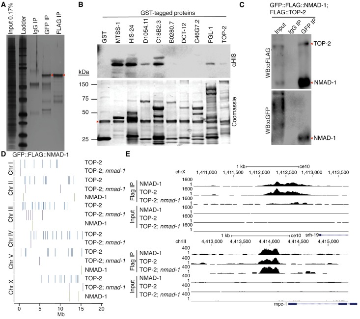 Fig 4