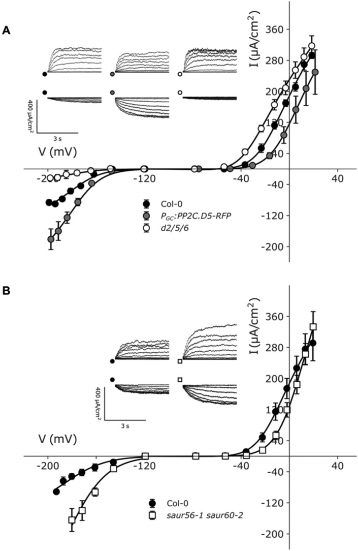 Figure 8