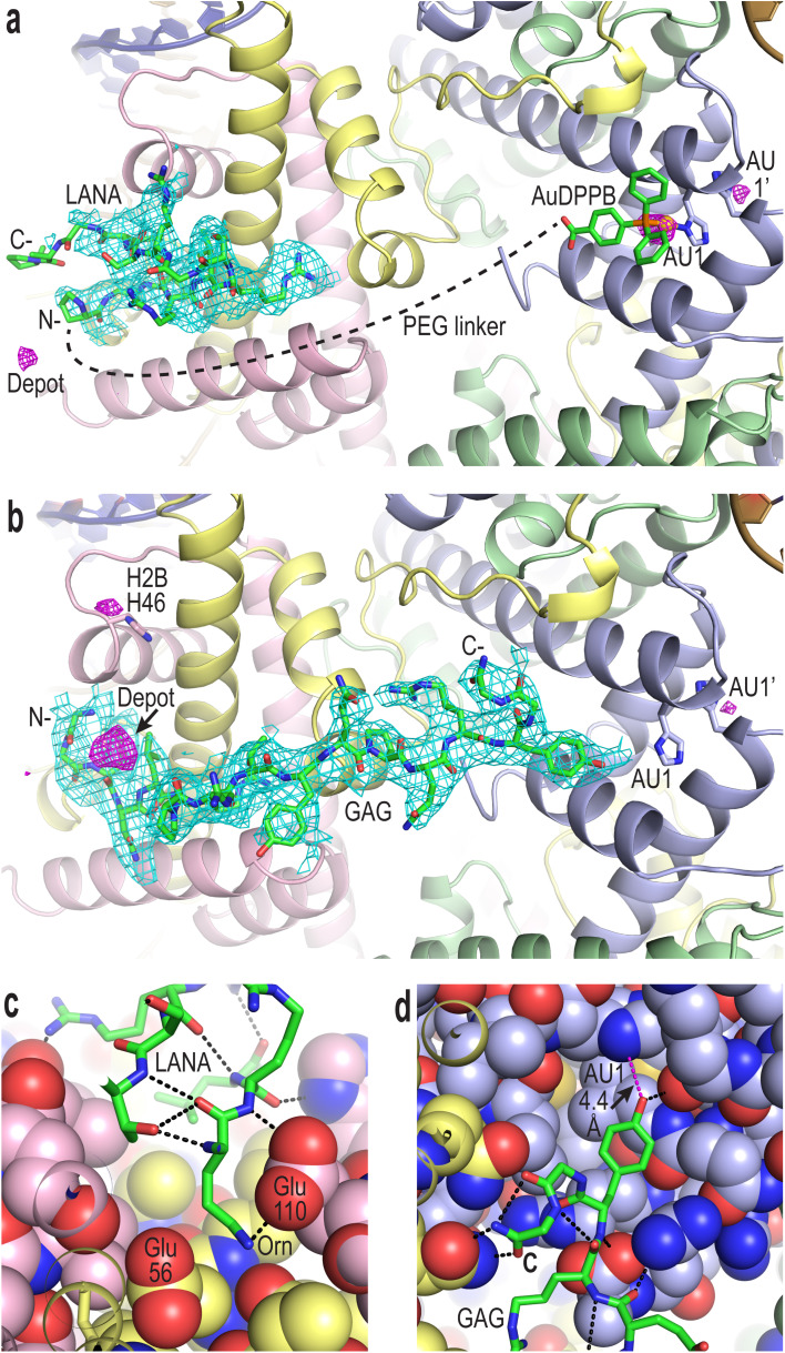 Fig. 2