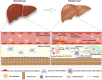 Fig. 2.