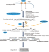 Fig. 3.