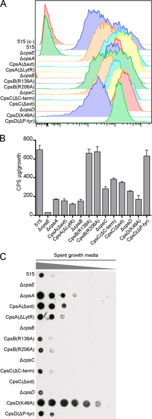 FIGURE 3.