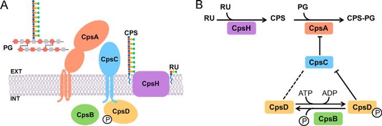 FIGURE 6.