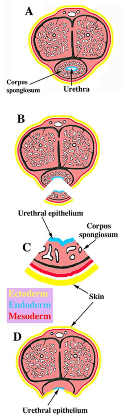 Figure 15