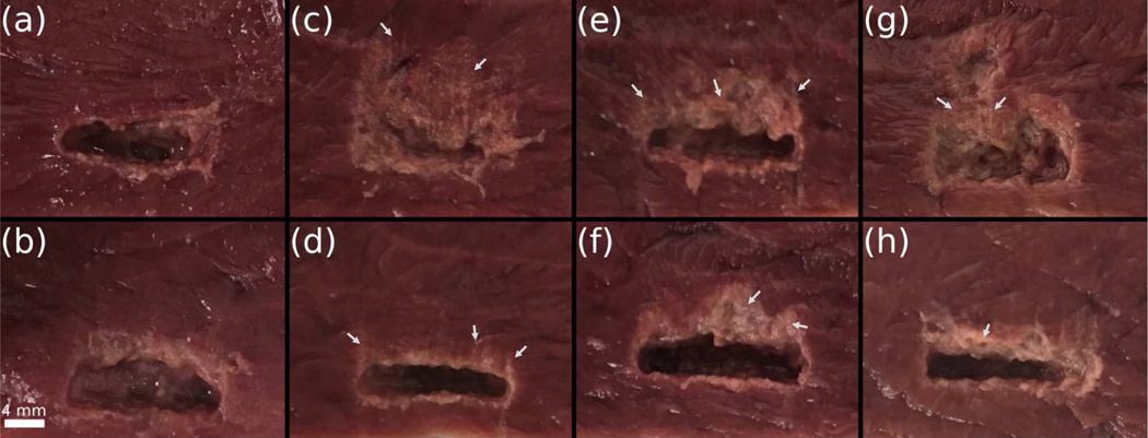 Fig. 8.