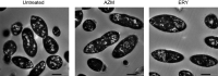 FIG 9