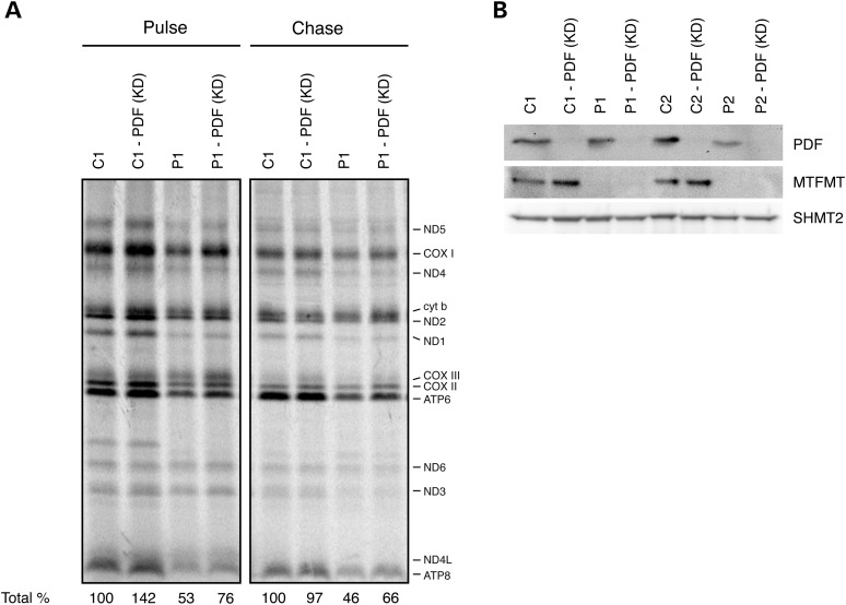 Figure 4.