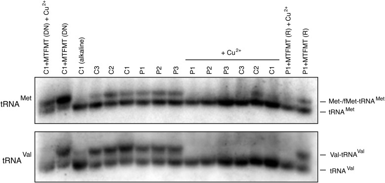 Figure 3.