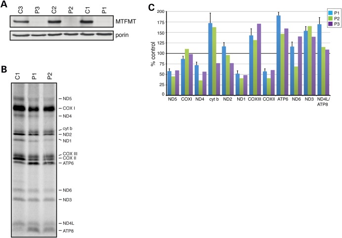 Figure 1.