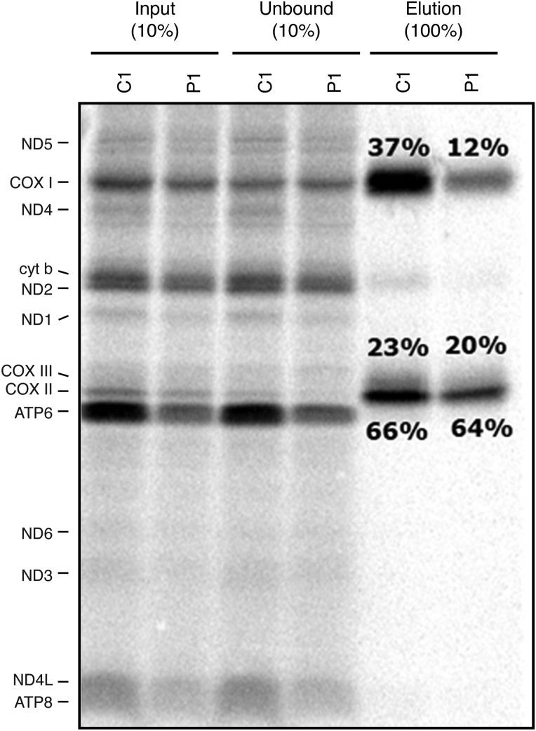 Figure 5.