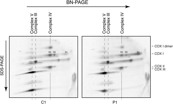 Figure 6.