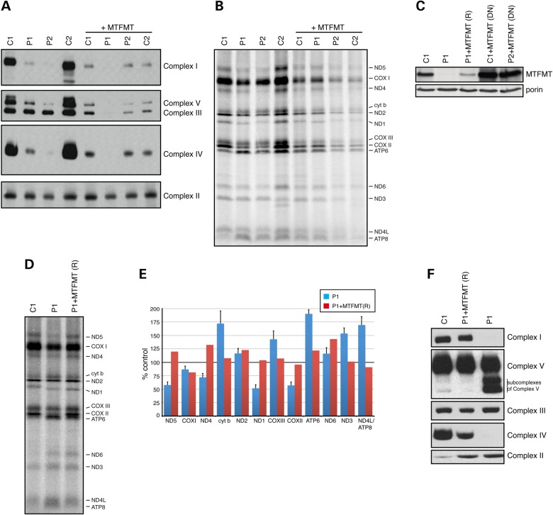 Figure 2.