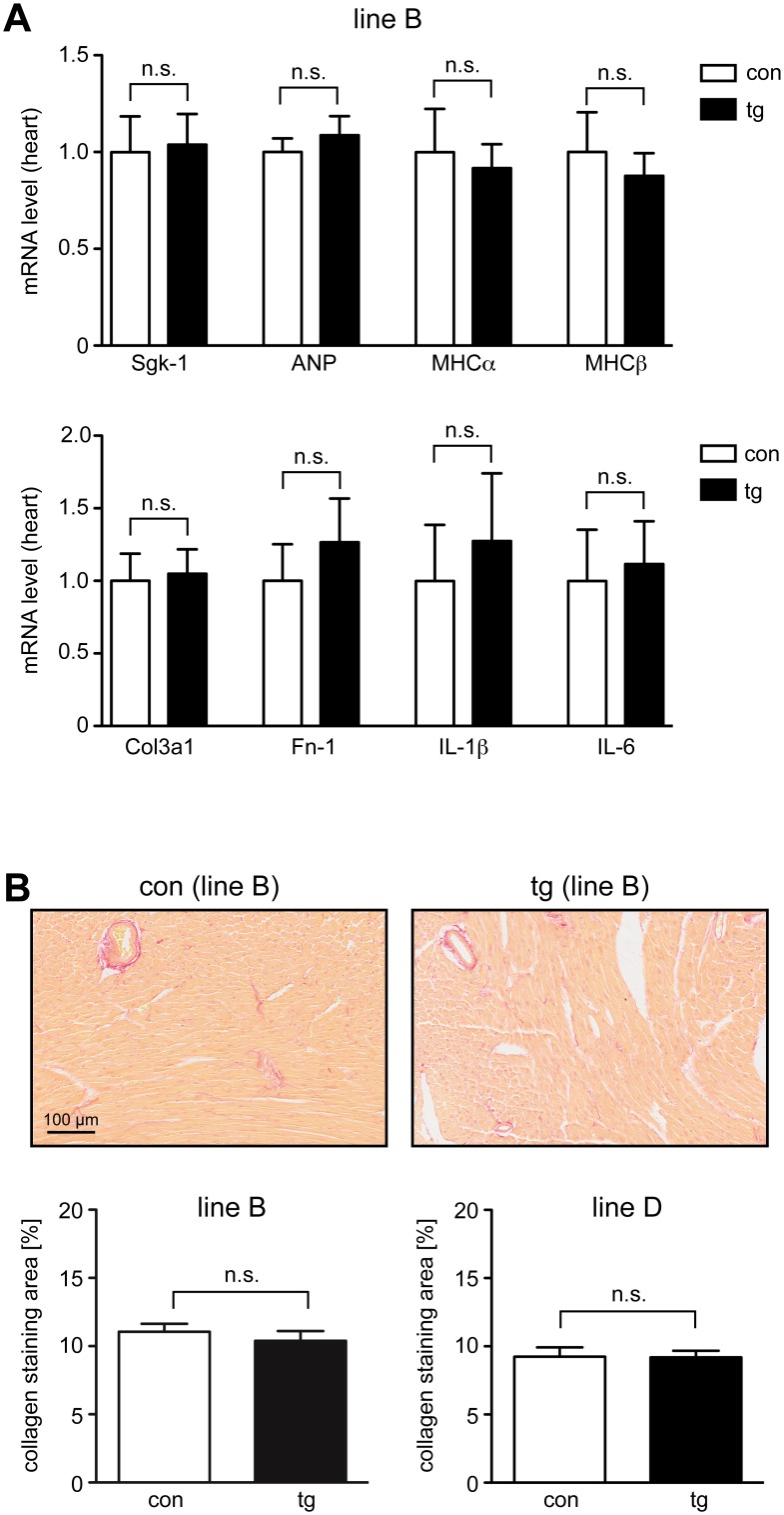 Fig 5