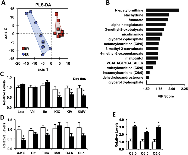 Figure 2