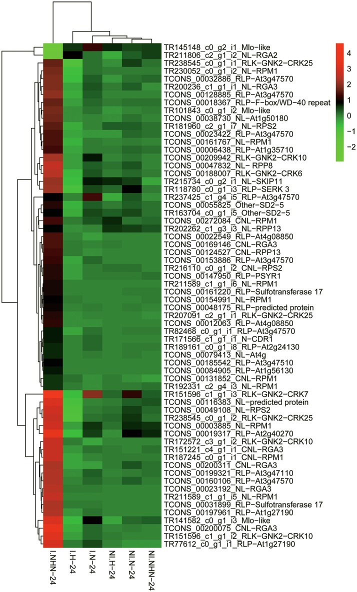 Figure 5