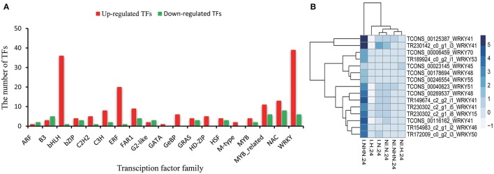 Figure 6