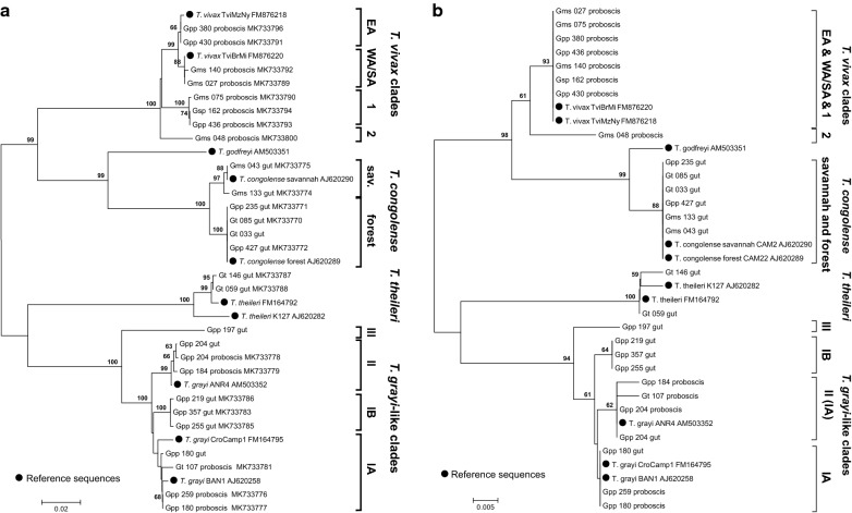 Fig. 4