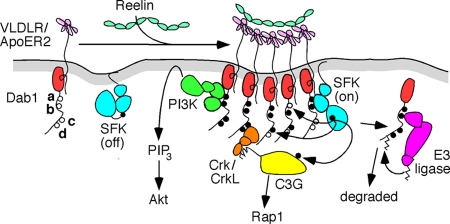 FIG. 6.