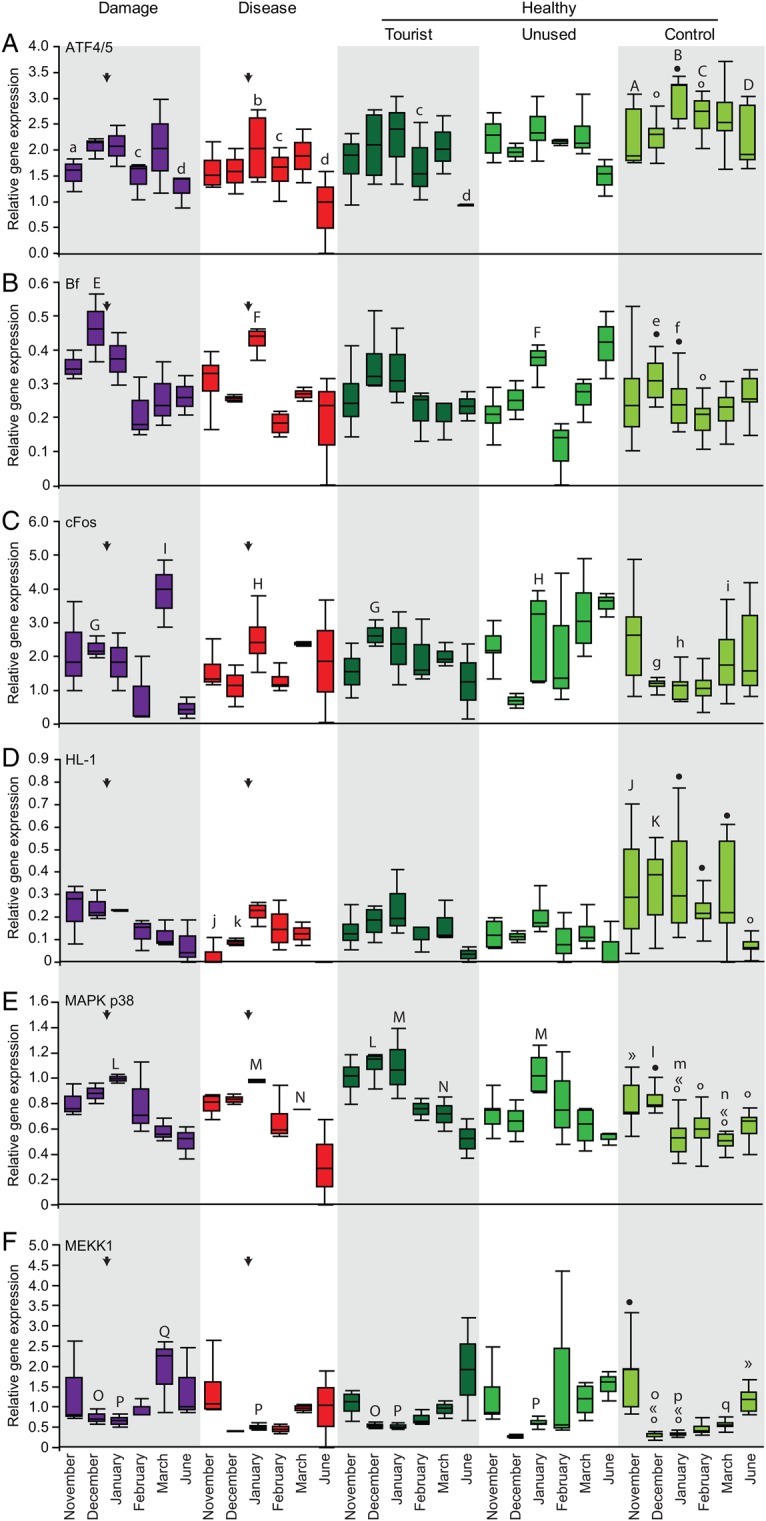 Figure 3: