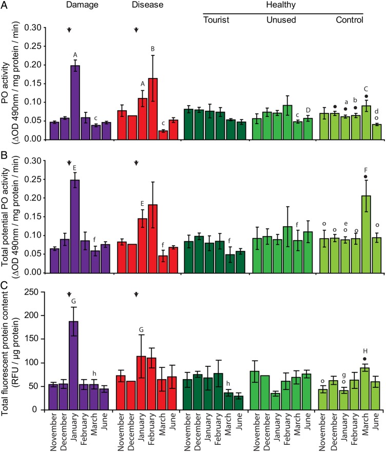 Figure 2: