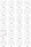 Chemical structures of various natural compounds are depicted in a 5x5 grid. Each image shows the structural formula of compounds like Curcumin, Resveratrol, EGCG, Quercetin, Carotenoid, Lutein, EPA, DHA, β-sitosterol, Berberine, Paclitaxel, Triptolide, Phenethyl Isothiocyanate, Sulforaphane, β-glucan, Fucoidan, Chitosan, Gallic Acid, Caffeic Acid, Ferulic Acid, Kaempferol, Fisetin, Capsaicin, and Piperine. Each compound name is labeled below its respective structure.