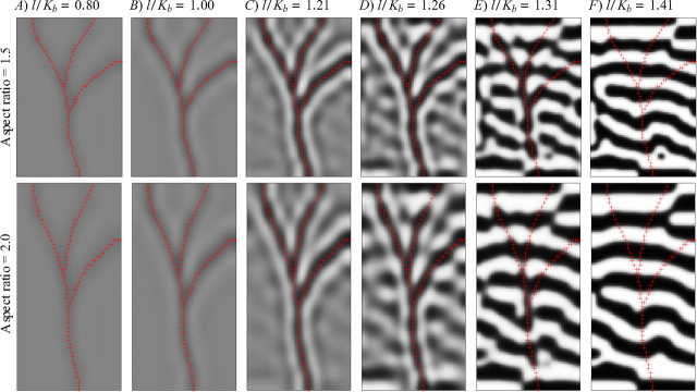 Figure 7.