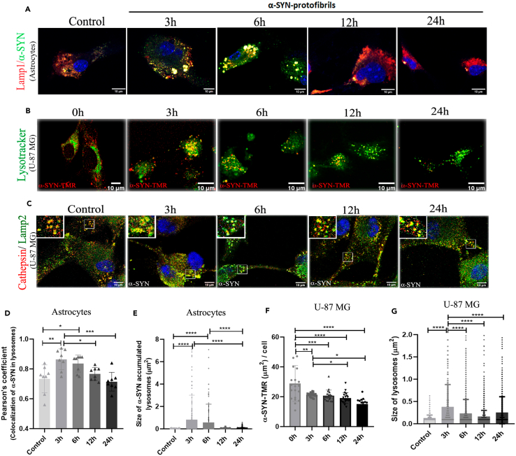 Figure 3