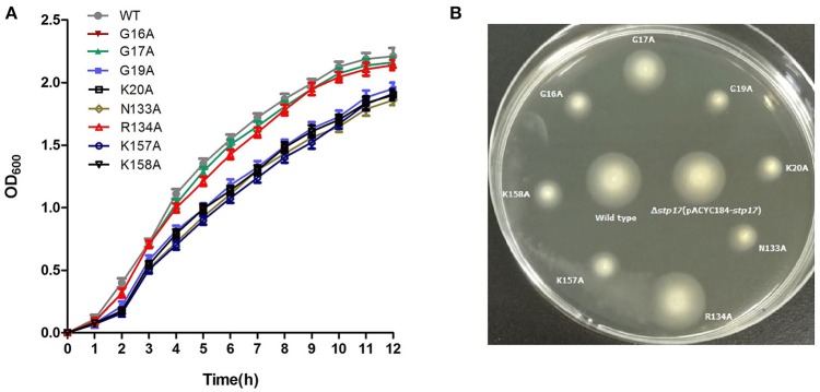 Figure 6