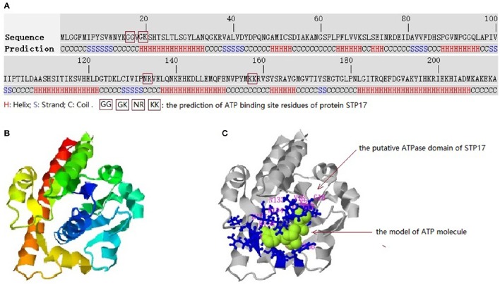 Figure 5