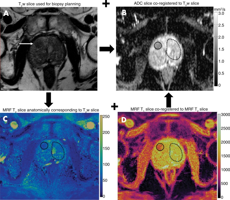 Figure 2: