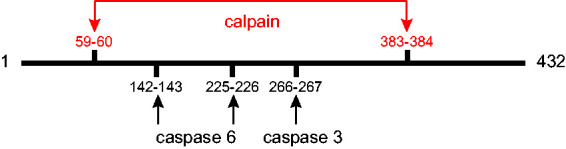 Figure 8.