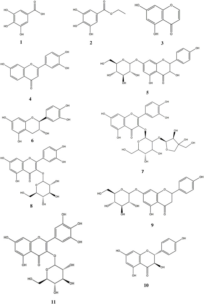 FIGURE 2