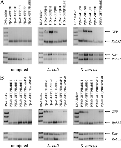 FIG. 6.