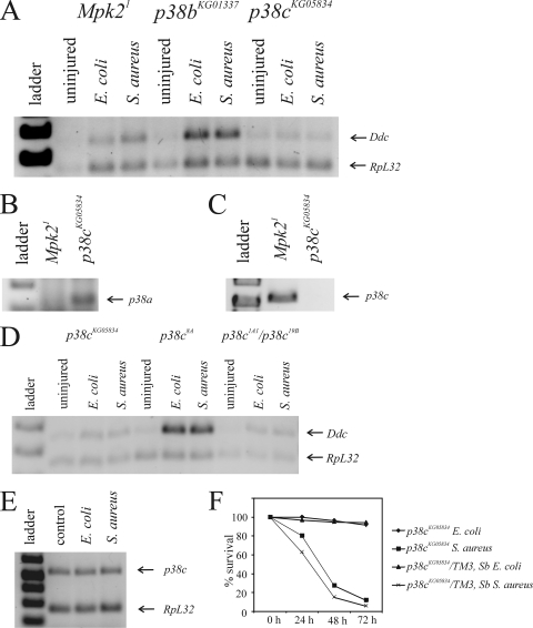 FIG. 9.