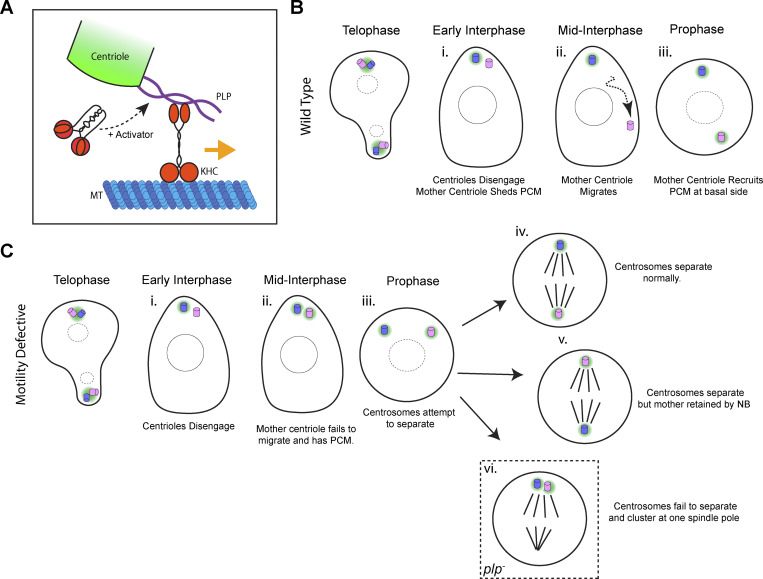 Figure 10.