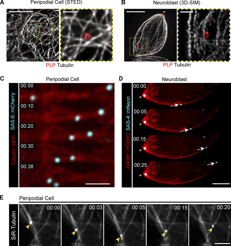 Figure 3.