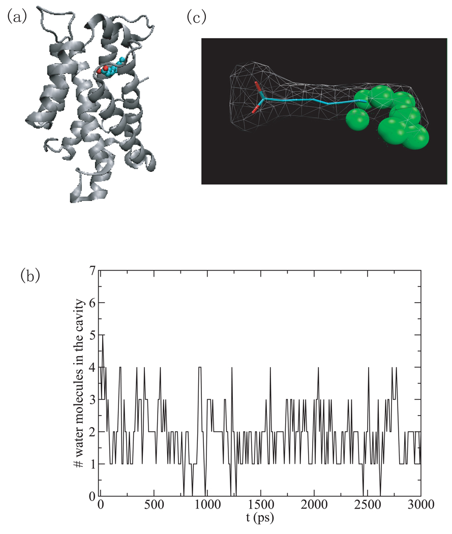 Fig.3