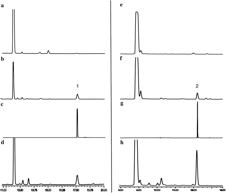 Fig. 6