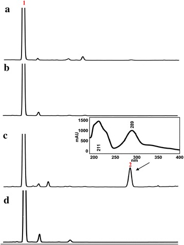 Fig. 4