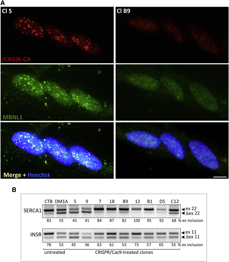 Figure 3