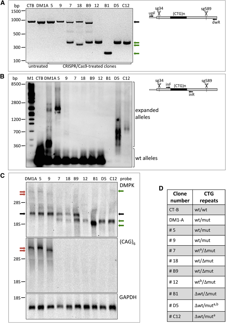 Figure 4